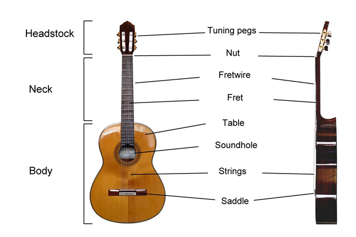 بررسی انواع ساز گیتار