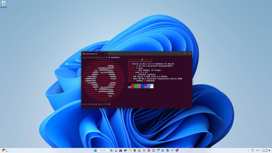 اجرای برنامه لینوکس در ویندوز