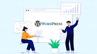 هاست وردپرس حرفه‌ای