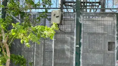 ثبت نام فیبر نوری مخابرات تهران