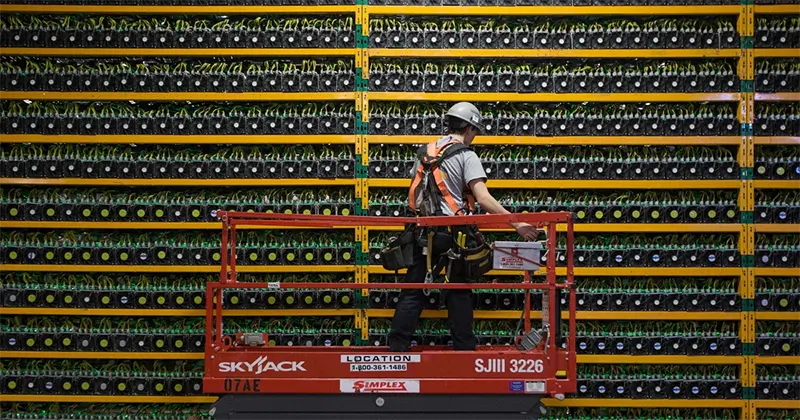 تصویر فردی در کنار سرورهای ماینینگ ارز دیجیتال