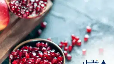 یلدای شاتل موبایل